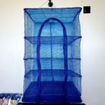 Сушка для риби та фруктів посилина