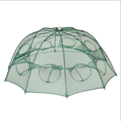 Раколовка-парасолька, 16 отвірів